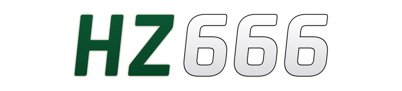 hz666
